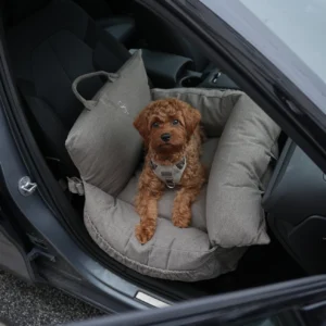 Staey autostoelen en draagzakken