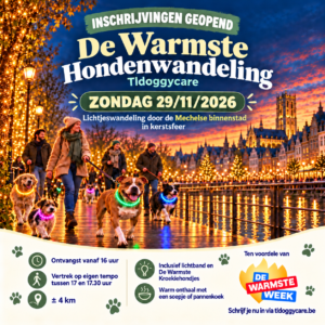 De Warmste Hondenwandeling